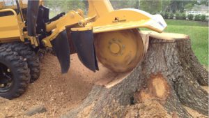 stump grinder in action Macclesfield